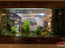 Pensiunea Noblesse 26