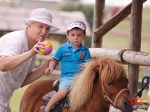 Calarie Il Cavallino 10