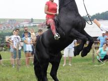 Calarie Il Cavallino 11