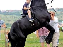 Calarie Il Cavallino 12