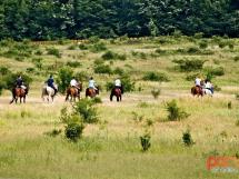 Calarie Il Cavallino 17