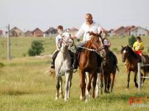 Calarie Il Cavallino 18