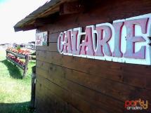 Calarie Il Cavallino 1