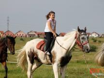 Calarie Il Cavallino 20