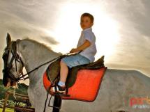 Calarie Il Cavallino 24