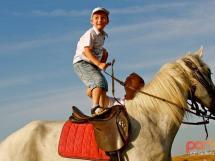 Calarie Il Cavallino 25