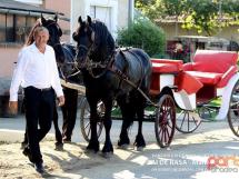 Calarie Il Cavallino 29