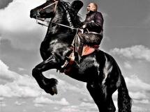 Calarie Il Cavallino 31