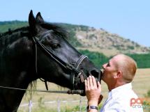 Calarie Il Cavallino 32