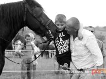 Calarie Il Cavallino 36