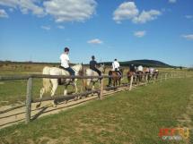 Calarie Il Cavallino 38