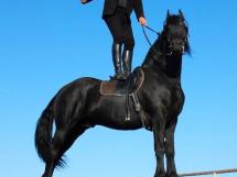 Calarie Il Cavallino 39