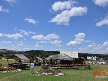 Calarie Il Cavallino 43