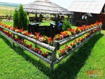 Calarie Il Cavallino 4