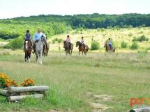 Calarie Il Cavallino 52