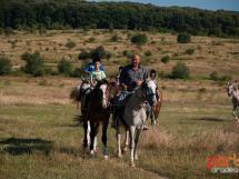 Calarie Il Cavallino 54