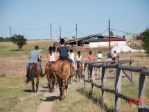 Calarie Il Cavallino 55