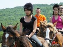 Calarie Il Cavallino 5