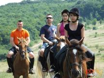 Calarie Il Cavallino 6