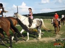 Calarie Il Cavallino 7