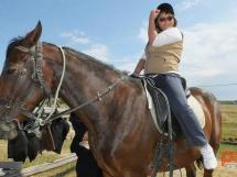 Calarie Il Cavallino 8