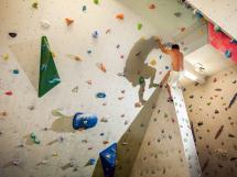 Geckoclimb 4