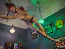 Panic Room Galerie De Local 29