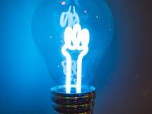 Panic Room Galerie De Local 30