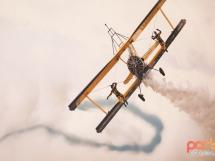 Ovidpop Art Photo Gallery 1