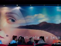 Pellini Top Lotus 29