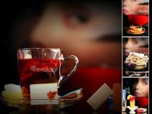 Pellini Top Lotus 54