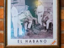 Habana Cafe 33