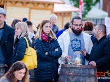 Toamna Oradeana 2017 Concerte 237