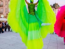 Toamna Oradeana 2017 Concerte 281