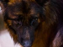 Muzica Live Cu Mela And Ovi 52