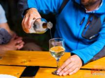 Muzica Live Cu Mela And Ovi 54