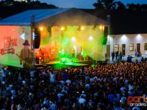 Concert Subcarpati 63