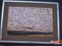 Expo Foto Fotoetnografica 9