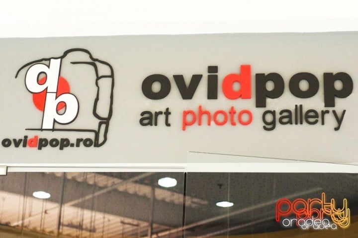 Ovidpop Art Photo Gallery
